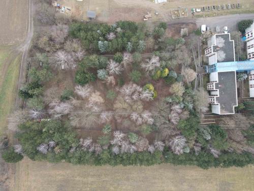 dji_0031